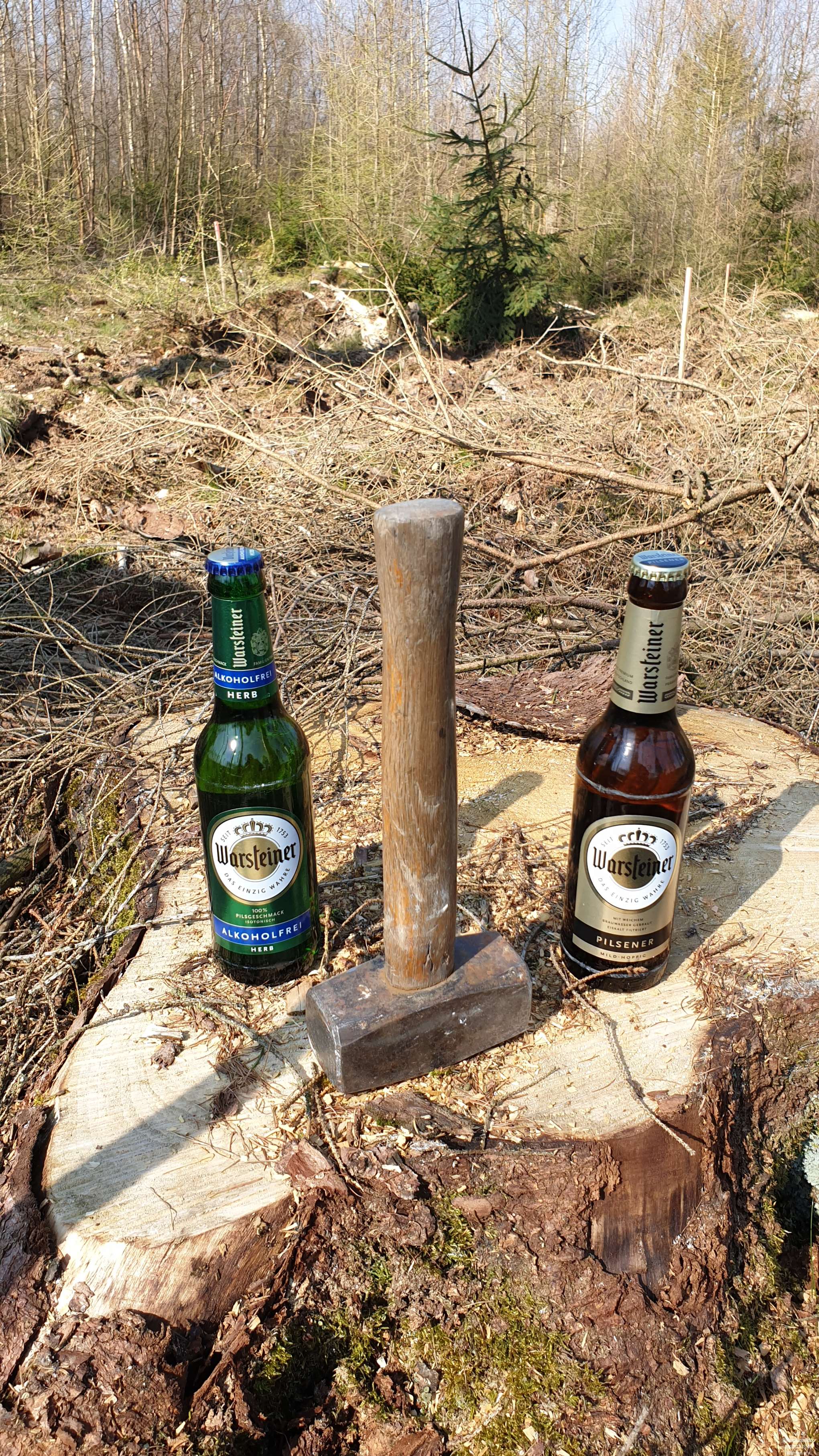 TuS Warstein Baumaktion 009